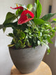 Extra Large Indoor Garden Planter