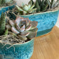 Succulent Trio in Pot